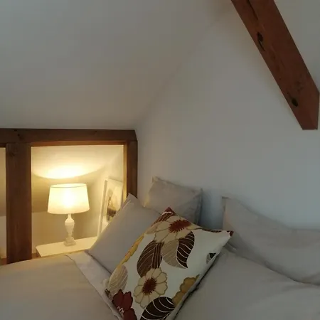 بيت للعطل A Casa Da ألكوشيت
