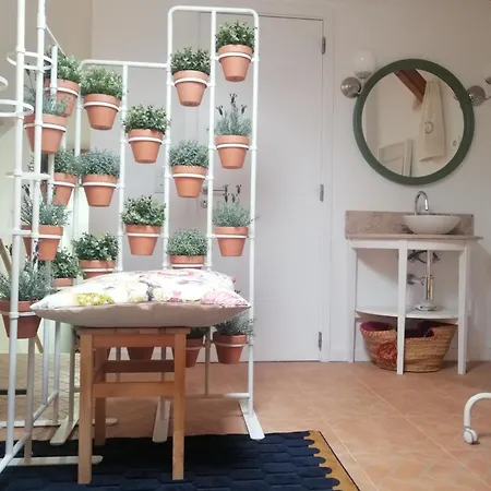 A Casa Da * ألكوشيت