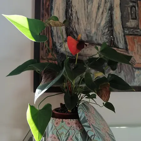 A Casa Da Casa vacanze