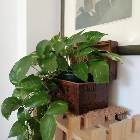 A Casa Da Casa vacanze *