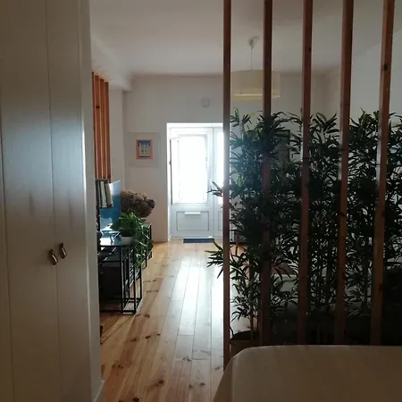 A Casa Da بيت للعطل ألكوشيت