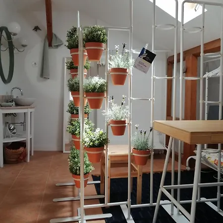 A Casa Da アルコシェテ