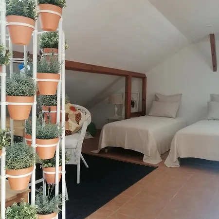 A Casa Da 別荘 アルコシェテ