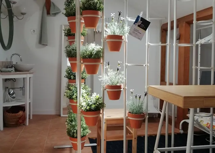 A Casa Da Алкошети